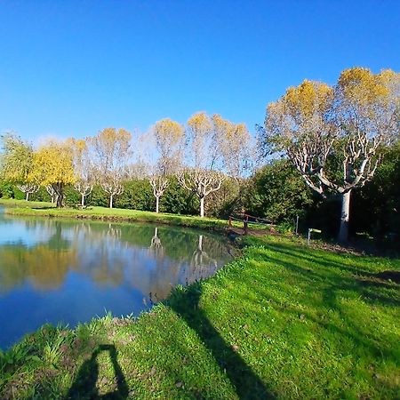 Domaine Du Lac De La Vallee Ла Рокет-Сюр-Сиань Экстерьер фото